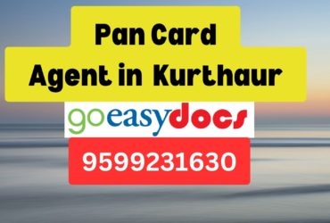 Pan Card Agent Consultant in Kurthaur 8851415812