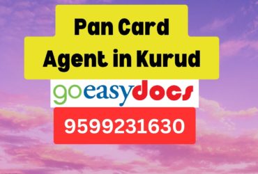 Pan Card Agent Consultant in Kurud 8851415812