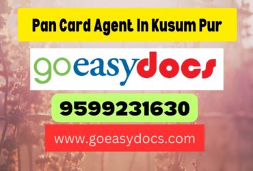 Pan Card Agent Consultant in Kusum Pur 8851415812