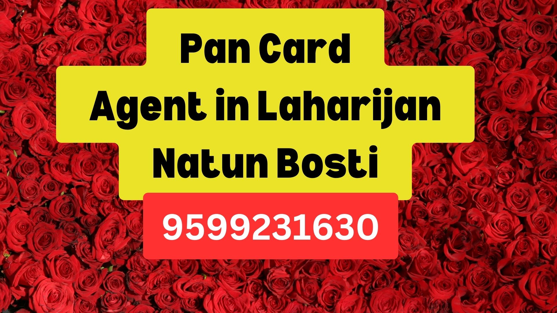 Pan Card Agent Consultant in Laharijan Natun Bosti  8851415812