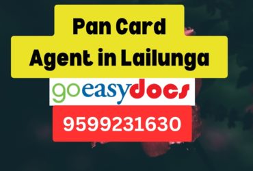 Pan Card Agent Consultant in Lailunga 8851415812