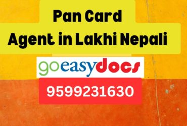 Pan Card Agent Consultant in Lakhi Nepali  8851415812