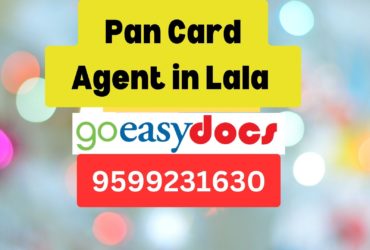 Pan Card Agent Consultant in Lala  8851415812