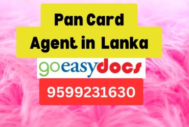 Pan Card Agent Consultant in Lanka  8851415812