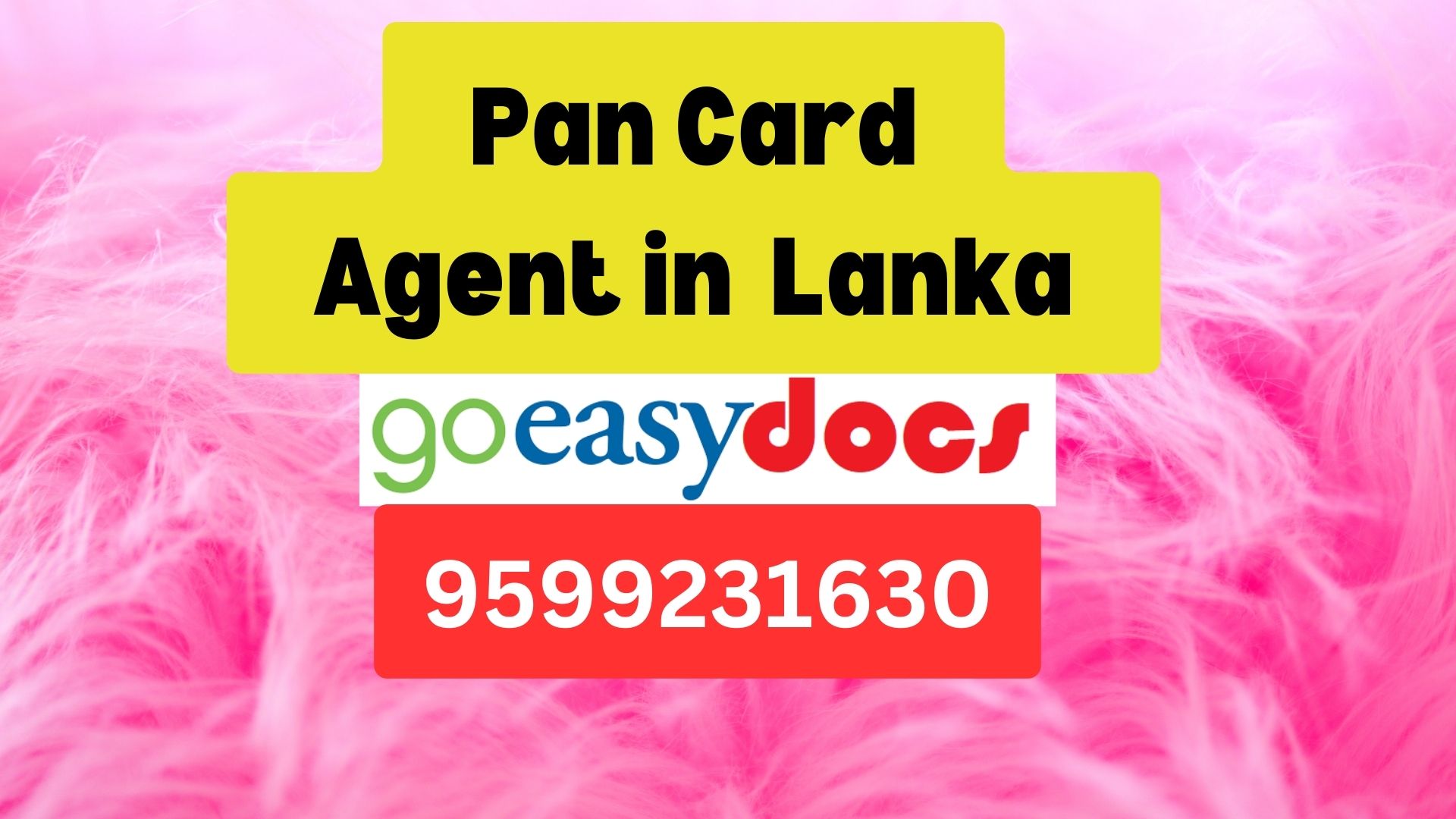 Pan Card Agent Consultant in Lanka  8851415812