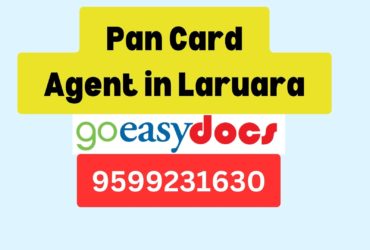 Pan Card Agent Consultant in Laruara  8851415812