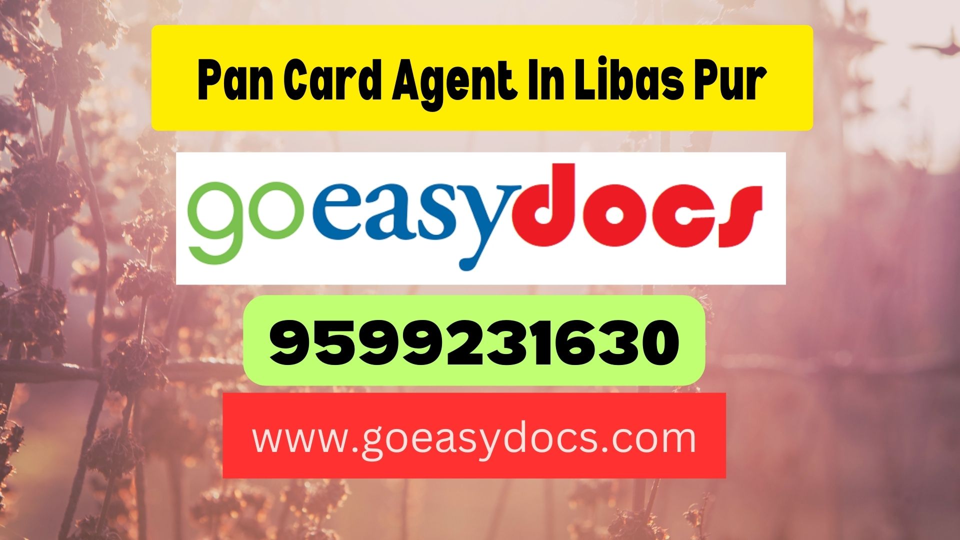 Pan Card Agent Consultant in Libas Pur 8851415812