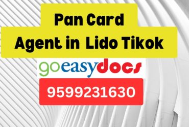 Pan Card Agent Consultant in Lido Tikok  8851415812