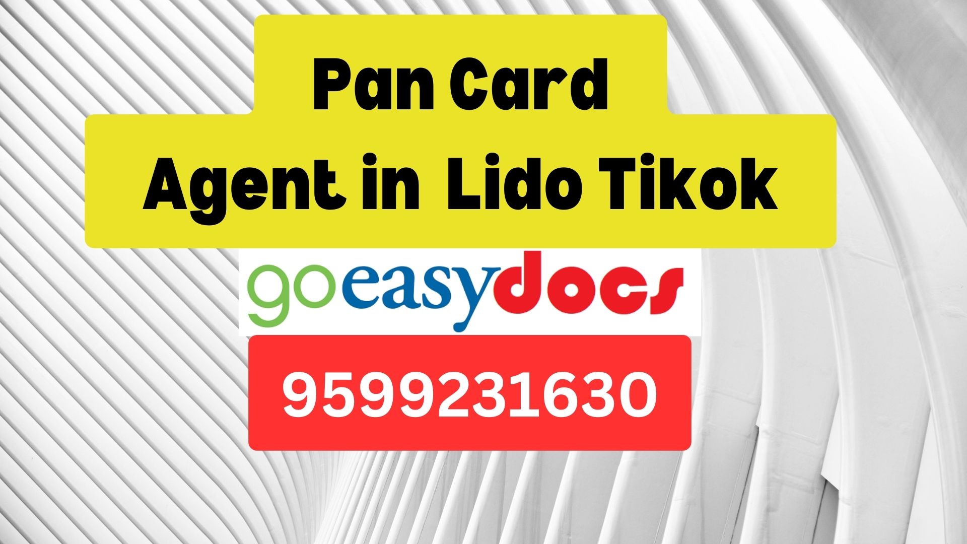 Pan Card Agent Consultant in Lido Tikok  8851415812