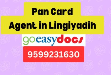 Pan Card Agent Consultant in Lingiyadih 8851415812