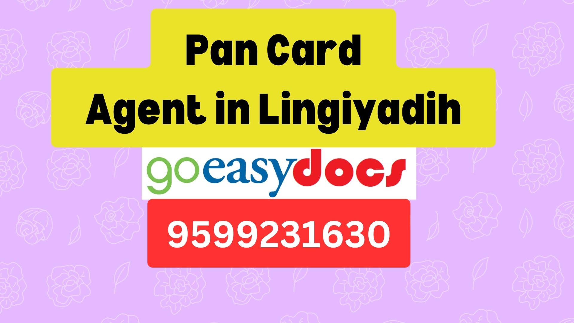 Pan Card Agent Consultant in Lingiyadih 8851415812