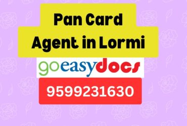 Pan Card Agent Consultant in Lormi 8851415812