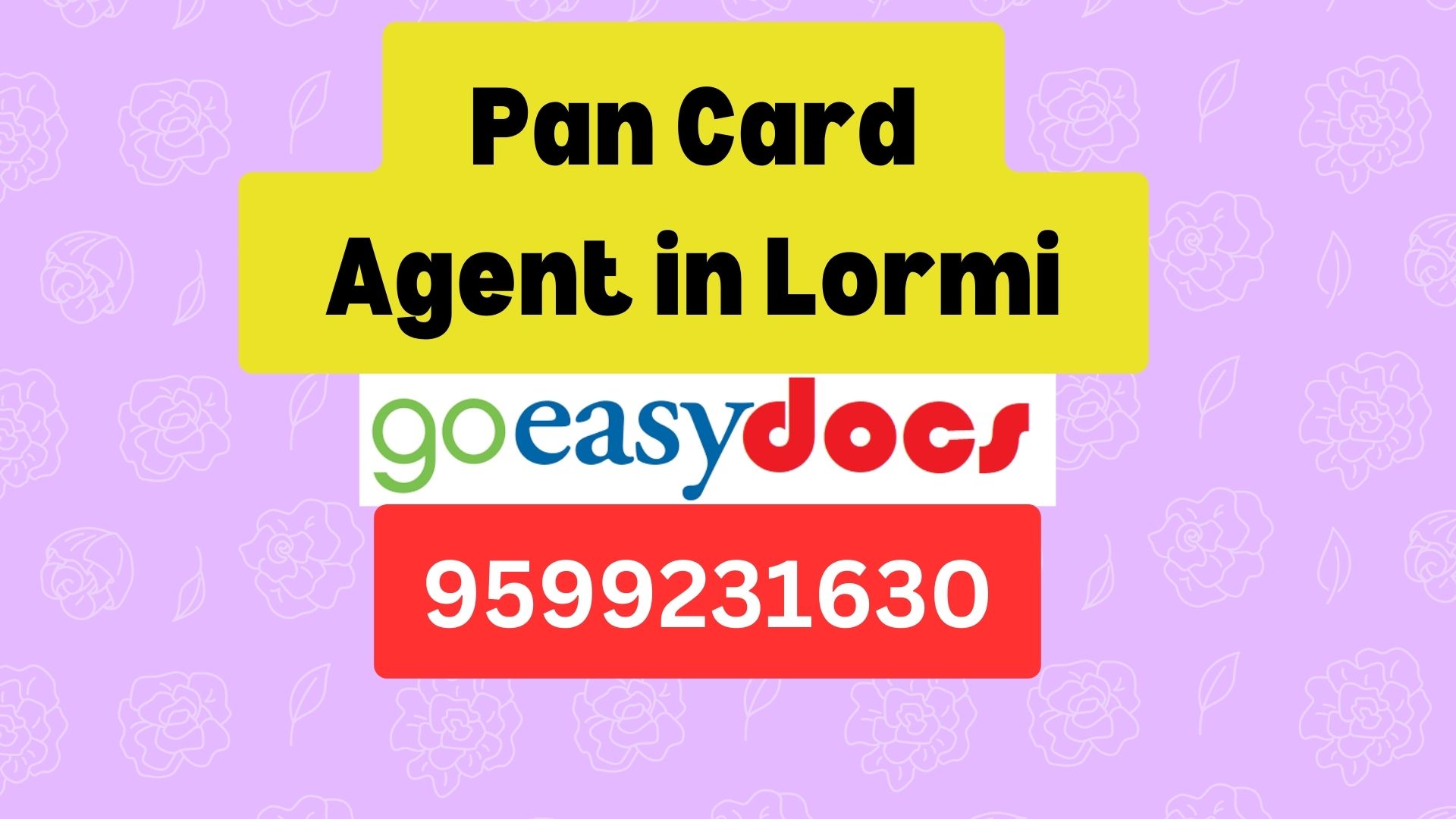 Pan Card Agent Consultant in Lormi 8851415812