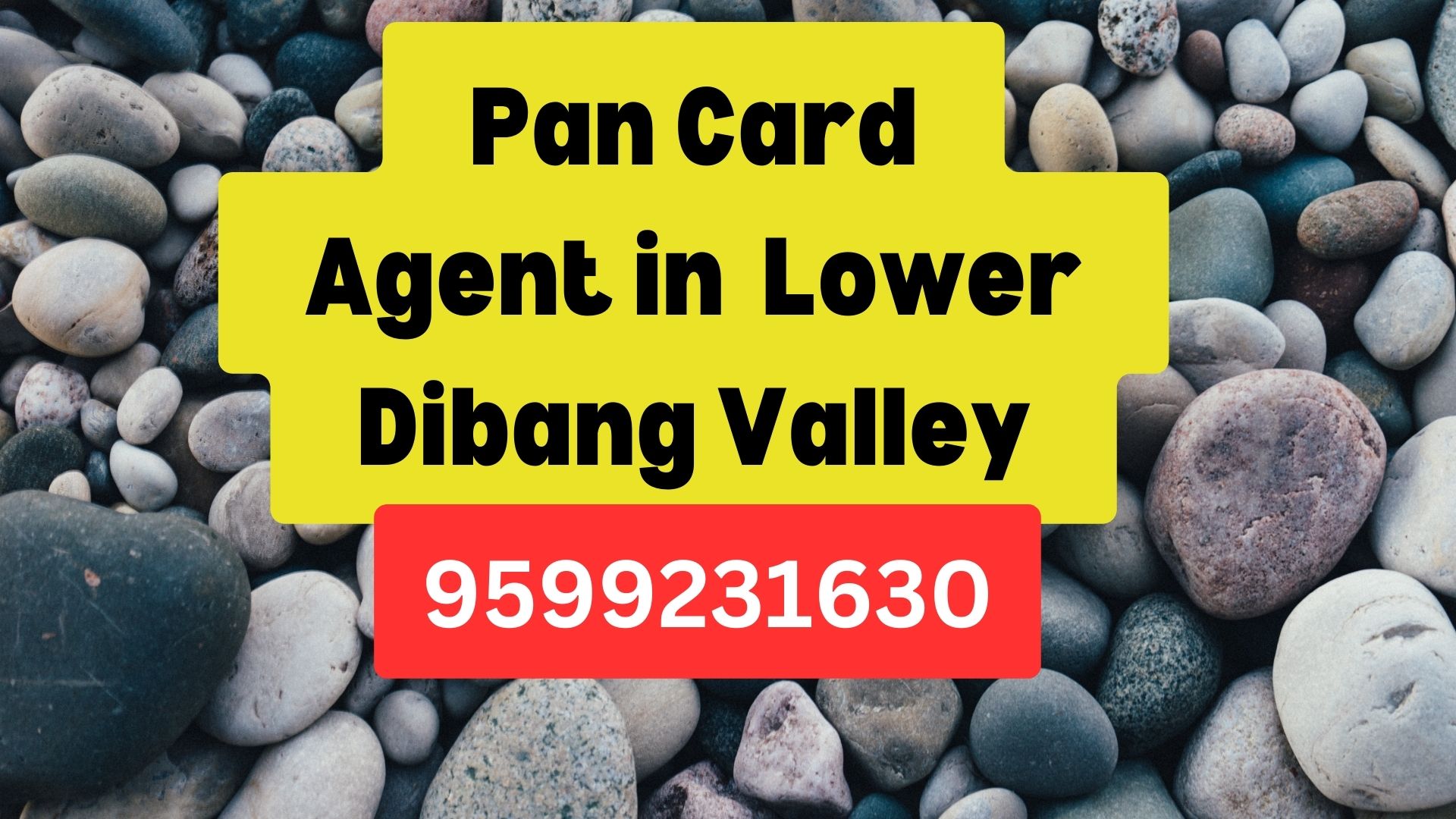 Pan Card Agent Consultant in Lower Dibang Valley  8851415812