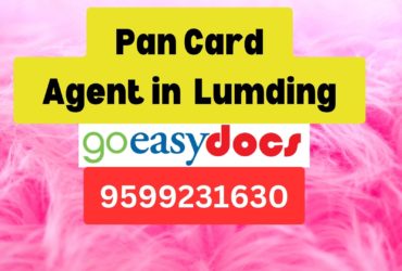 Pan Card Agent Consultant in Lumding  8851415812