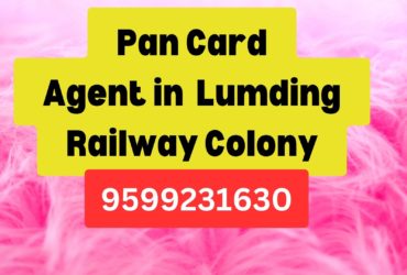 Pan Card Agent Consultant in Lumding Railway Colony  8851415812