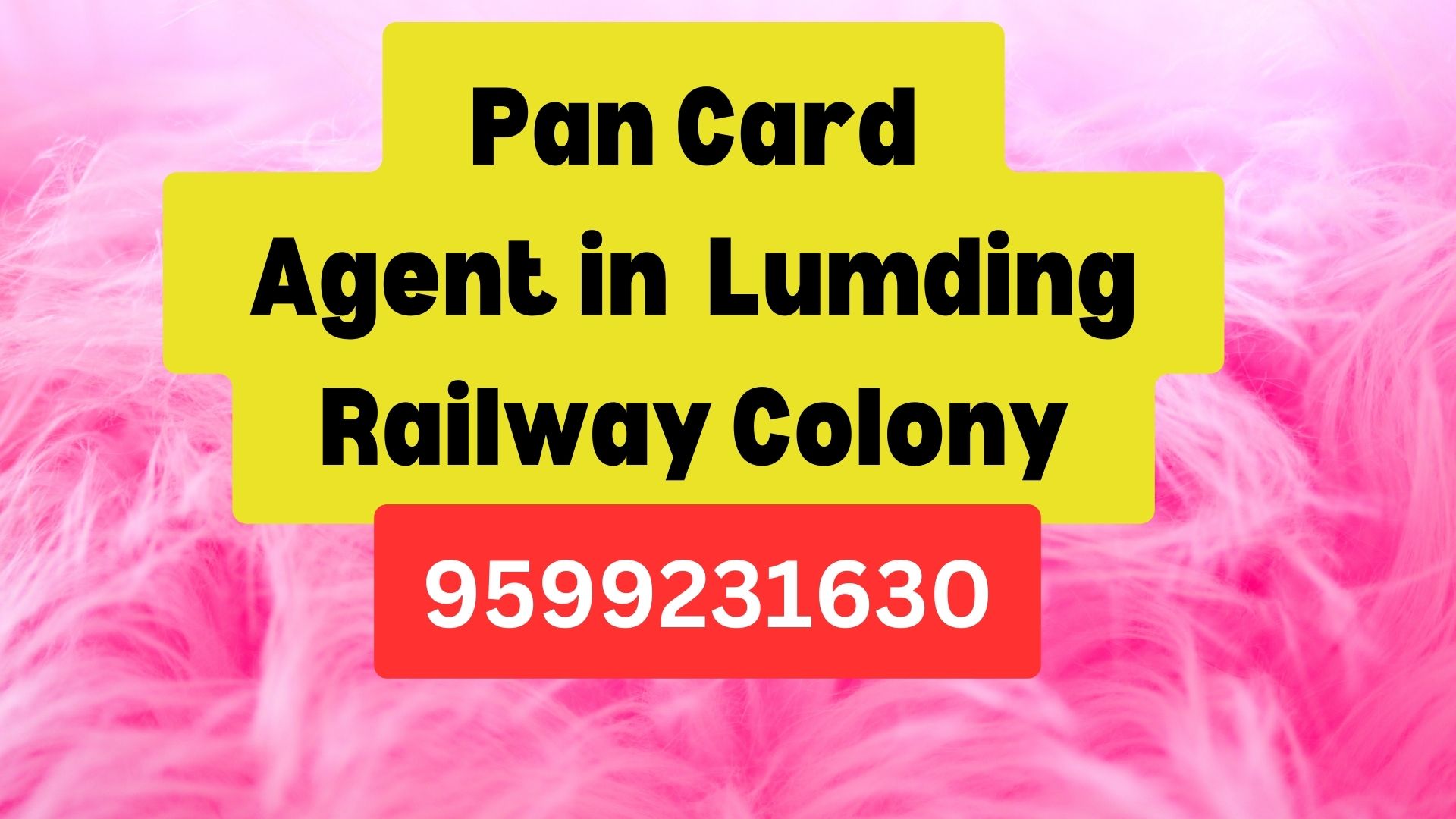 Pan Card Agent Consultant in Lumding Railway Colony  8851415812