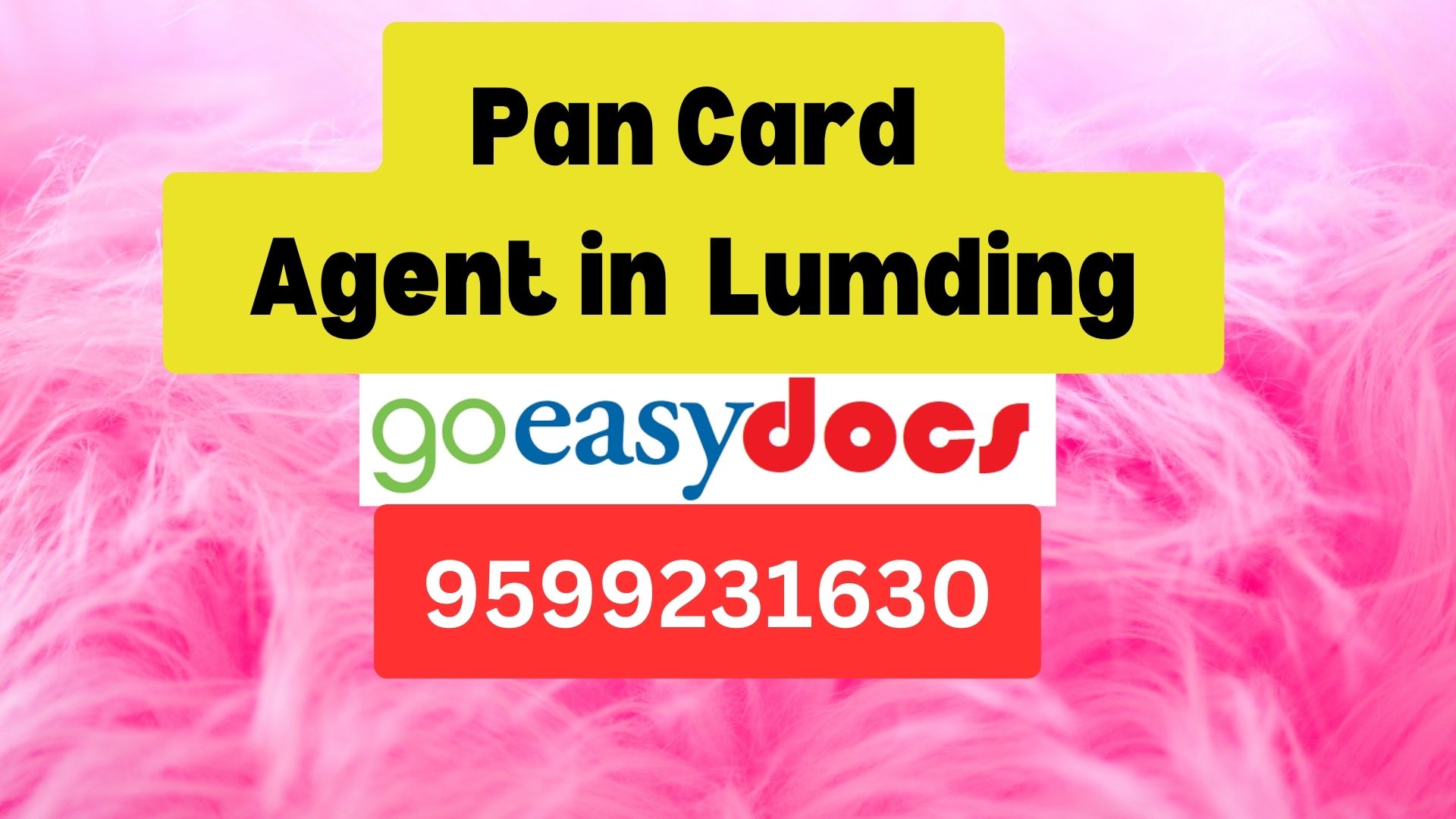 Pan Card Agent Consultant in Lumding  8851415812