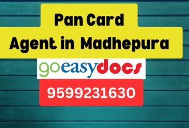 Pan Card Agent Consultant in Madhepura  8851415812