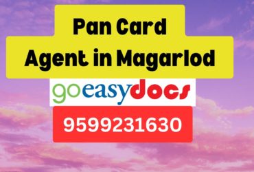 Pan Card Agent Consultant in Magarlod 8851415812