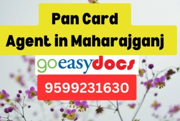 Pan Card Agent Consultant in Maharajganj 8851415812