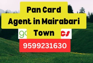 Pan Card Agent Consultant in Mairabari Town  8851415812