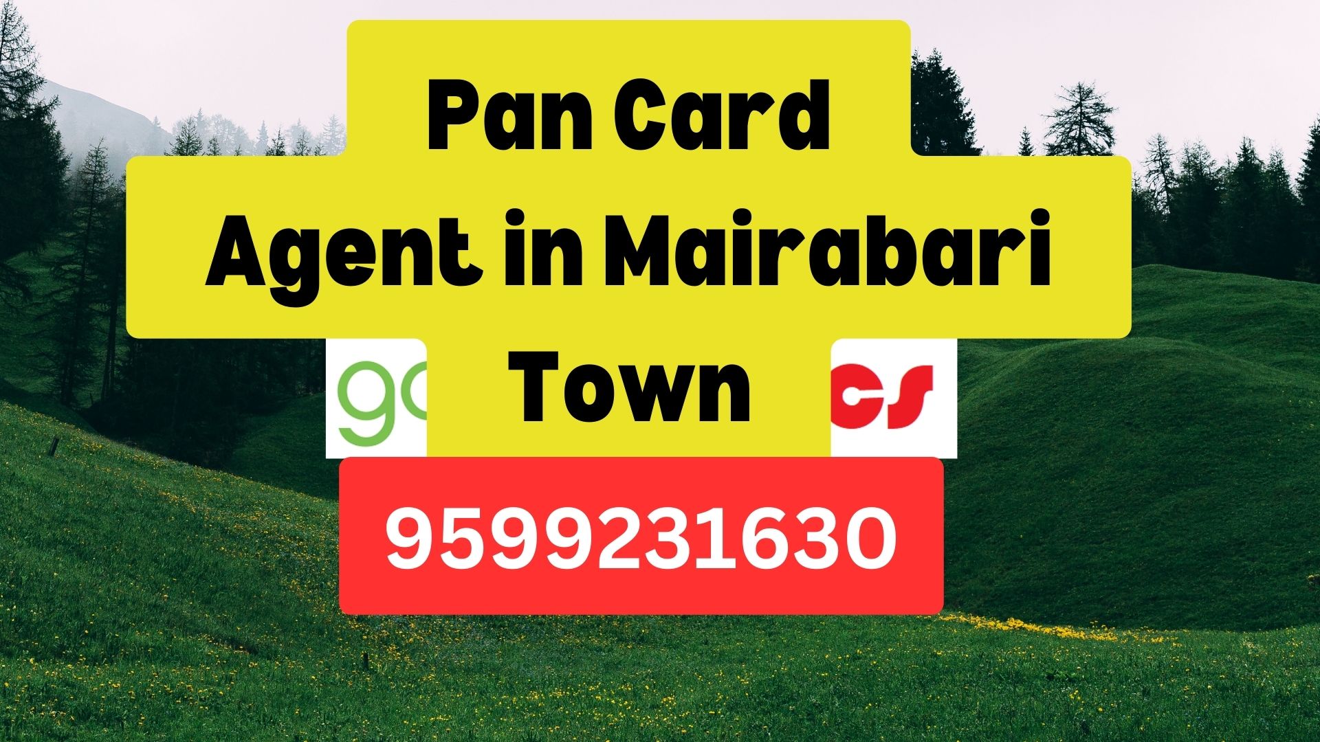 Pan Card Agent Consultant in Mairabari Town  8851415812