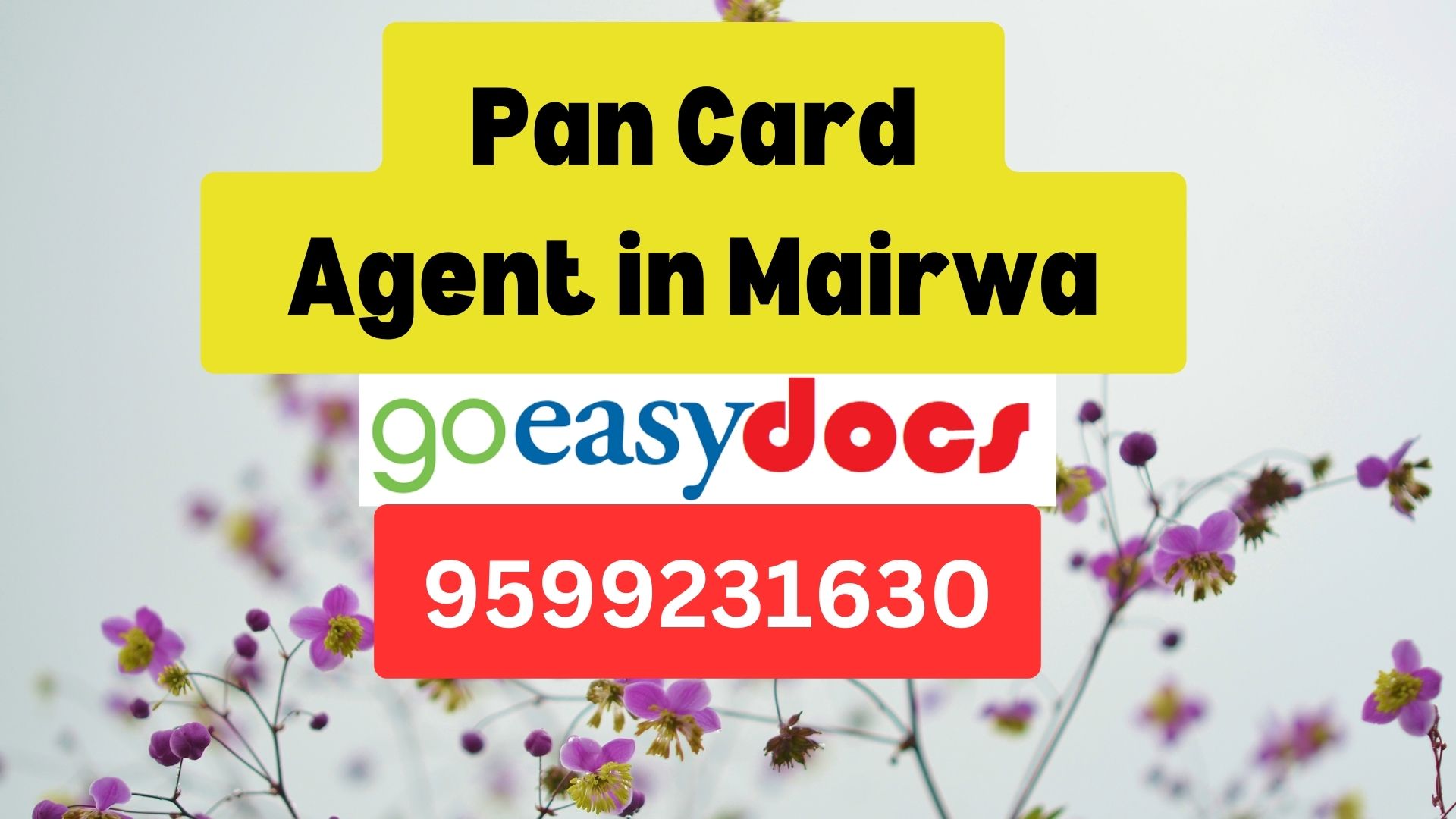 Pan Card Agent Consultant in Mairwa 8851415812