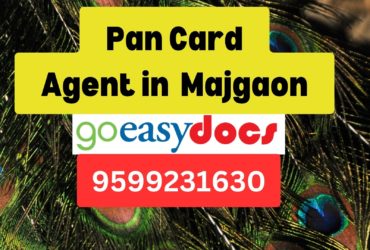 Pan Card Agent Consultant in Majgaon  8851415812