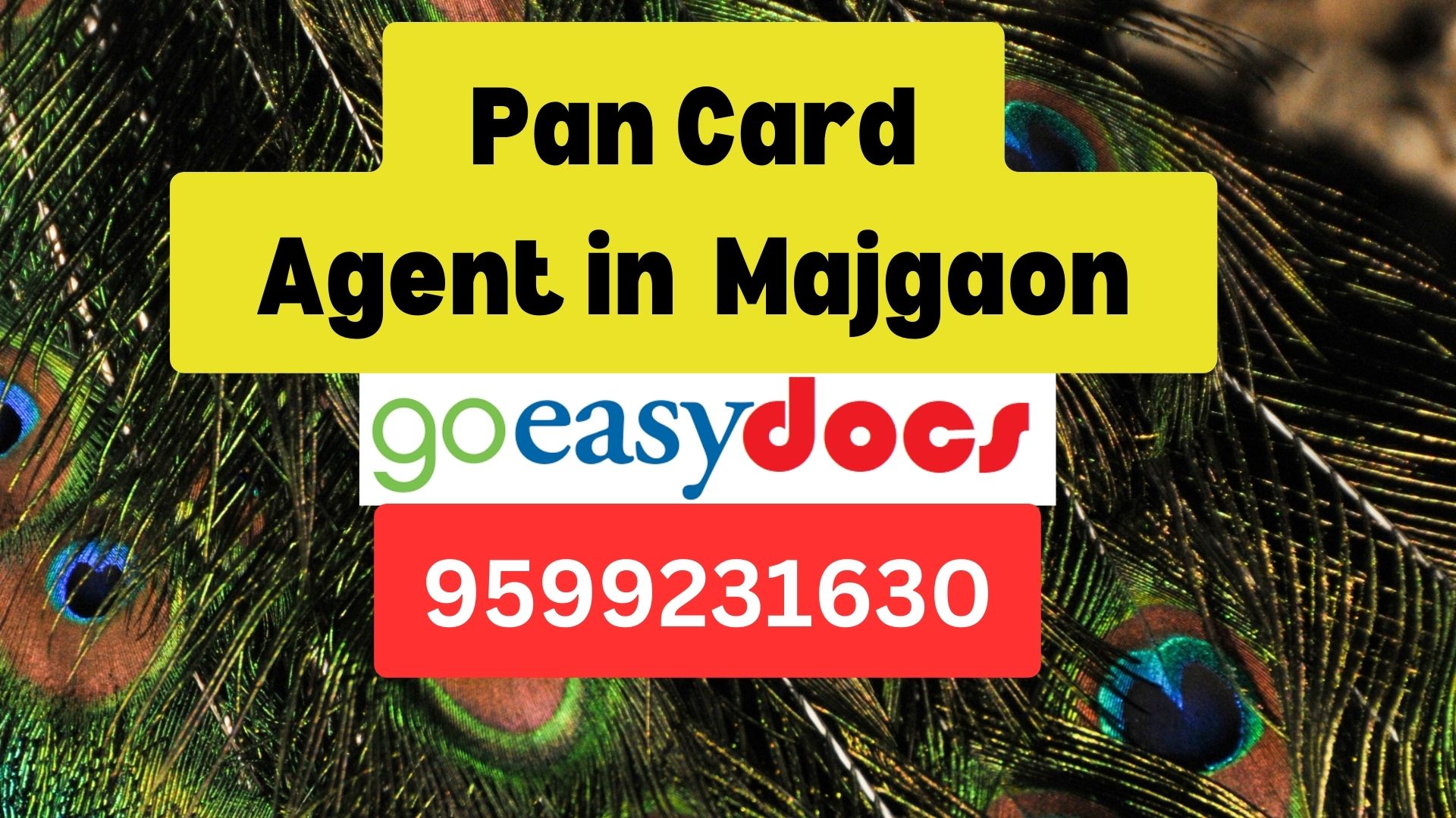 Pan Card Agent Consultant in Majgaon  8851415812