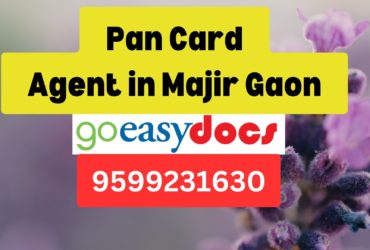 Pan Card Agent Consultant in Majir Gaon  8851415812