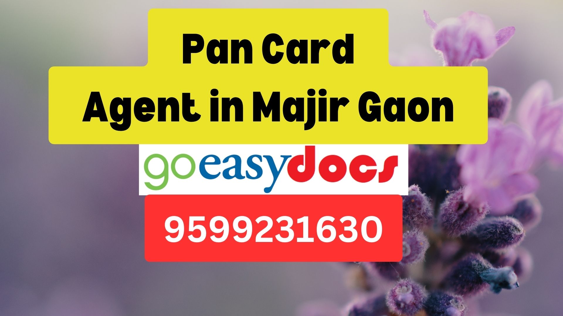 Pan Card Agent Consultant in Majir Gaon  8851415812