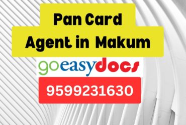 Pan Card Agent Consultant in Makum  8851415812