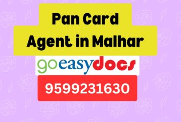 Pan Card Agent Consultant in Malhar 8851415812