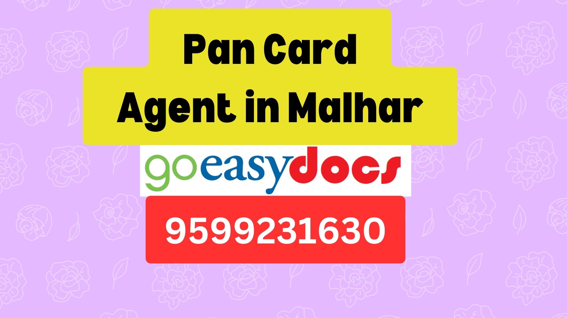 Pan Card Agent Consultant in Malhar 8851415812