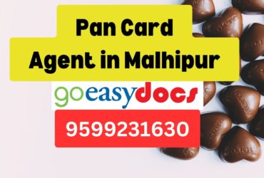 Pan Card Agent Consultant in Malhipur  8851415812