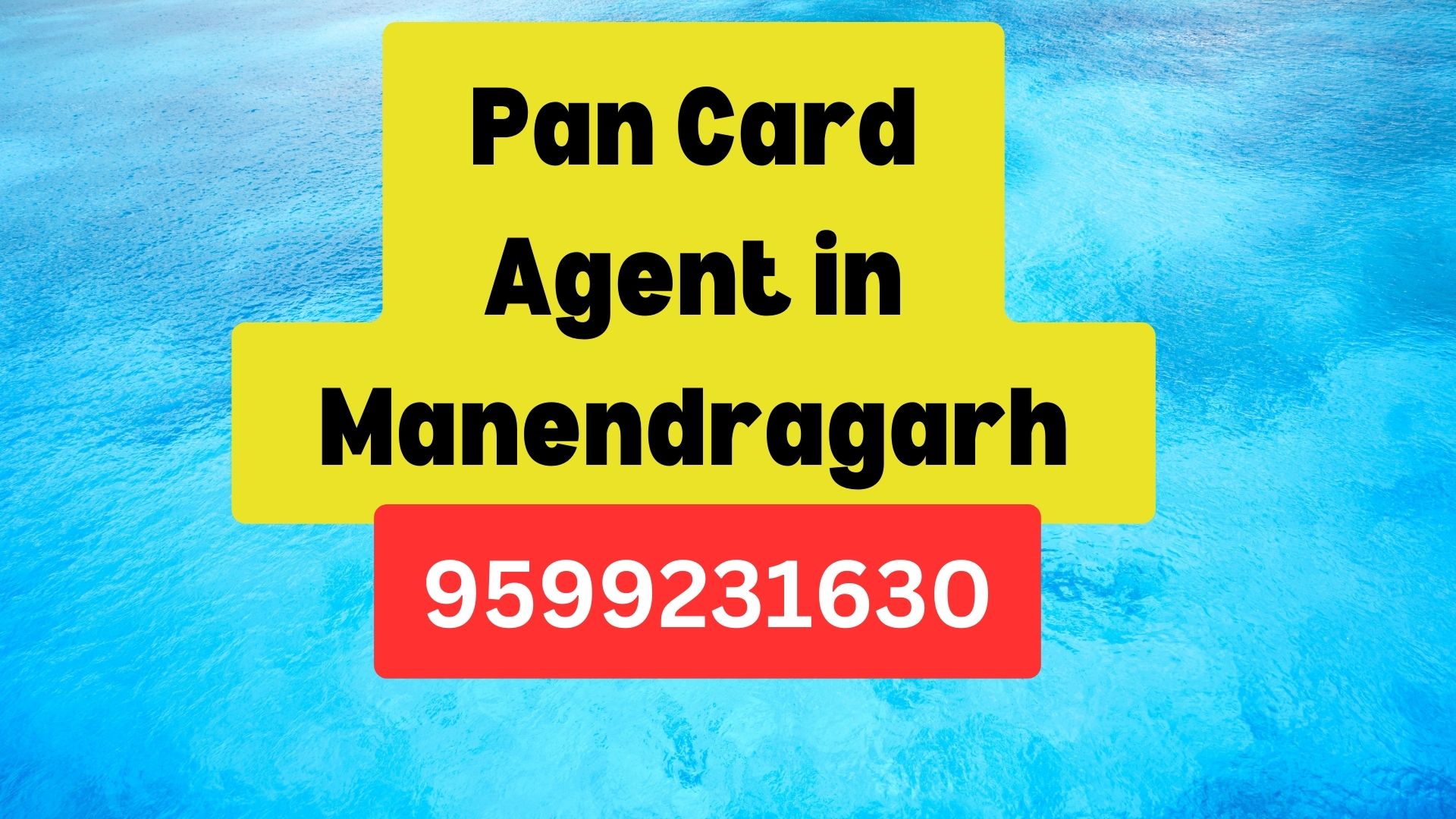 Pan Card Agent Consultant in Manendragarh 8851415812
