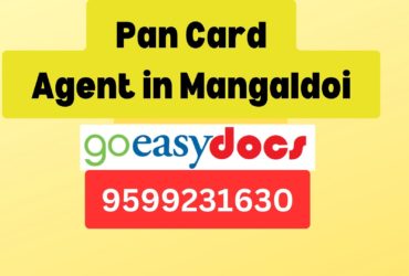 Pan Card Agent Consultant in Mangaldoi  8851415812