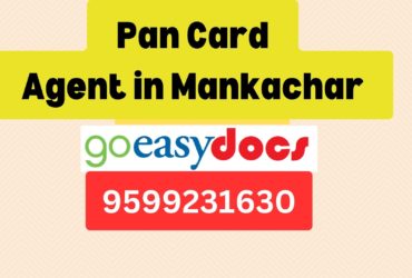 Pan Card Agent Consultant in Mankachar  8851415812