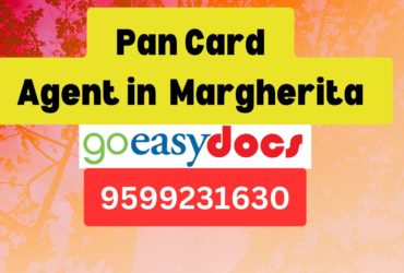 Pan Card Agent Consultant in Margherita  8851415812