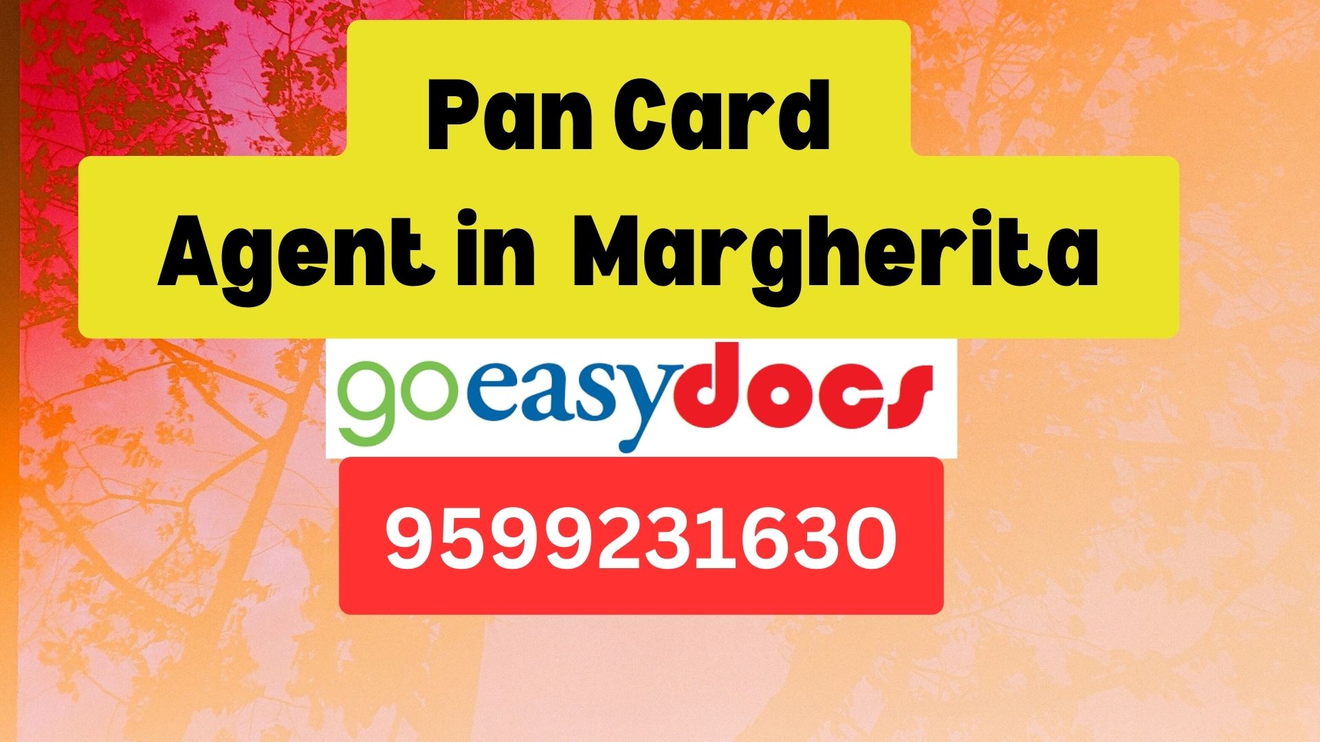 Pan Card Agent Consultant in Margherita  8851415812