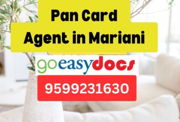 Pan Card Agent Consultant in Mariani  8851415812