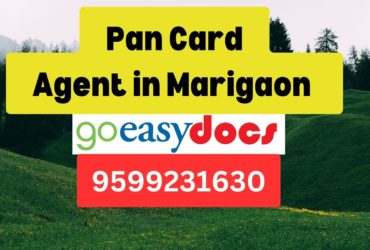 Pan Card Agent Consultant in Marigaon   8851415812