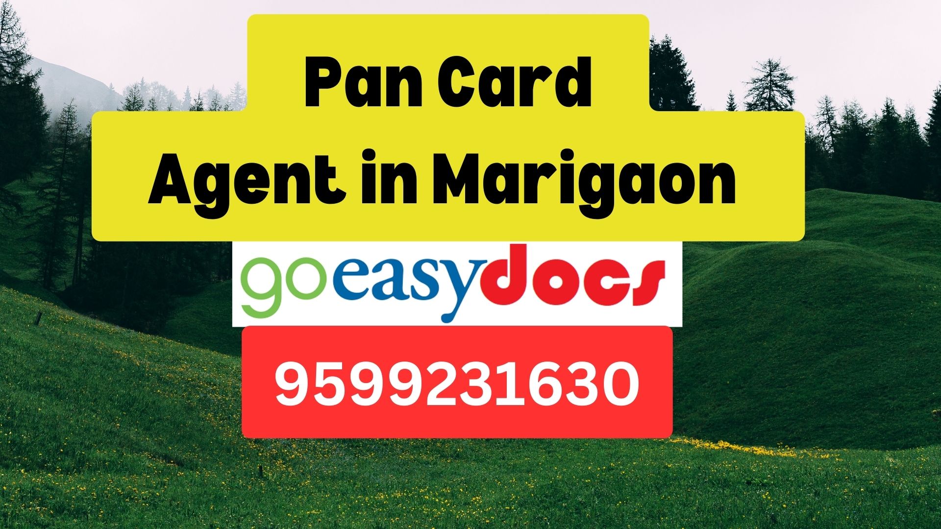 Pan Card Agent Consultant in Marigaon   8851415812