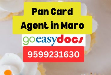 Pan Card Agent Consultant in Maro 8851415812