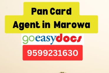 Pan Card Agent Consultant in Marowa  8851415812