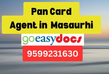 Pan Card Agent Consultant in Masaurhi 8851415812