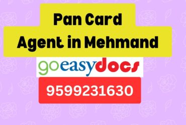 Pan Card Agent Consultant in Mehmand 8851415812