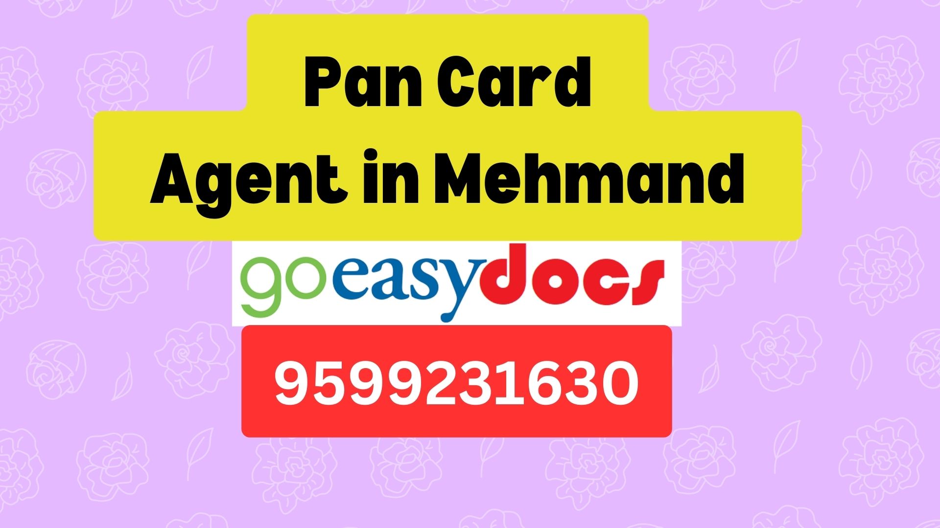 Pan Card Agent Consultant in Mehmand 8851415812