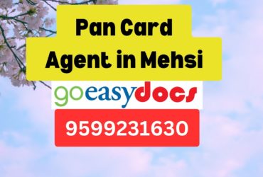 Pan Card Agent Consultant in Mehsi 8851415812